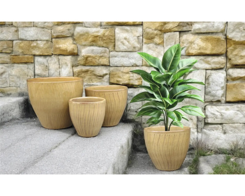 Usporiadanie štyroch kvetináčov na kamenných schodoch s rastlinou v jednej z nádob.