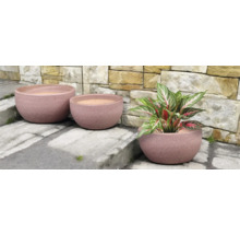 Tri okrúhle hlinené kvetináče rôznych veľkostí s rastlinou