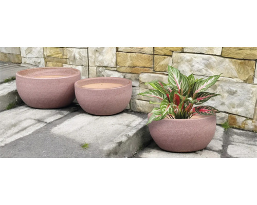 Tri okrúhle hlinené kvetináče rôznych veľkostí s rastlinou
