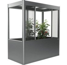 Vyvýšený záhon so skleníkovým nadstavcom a rastlinou paradajky