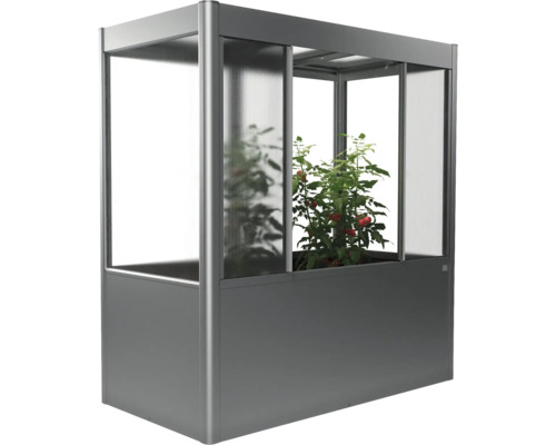 Vyvýšený záhon so skleníkovým nadstavcom a rastlinou paradajky