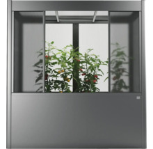 Skleník s rastlinami