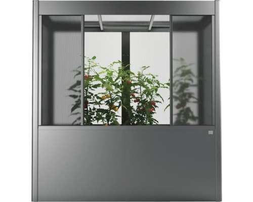 Skleník s rastlinami