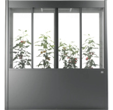 Skleník s rastlinami