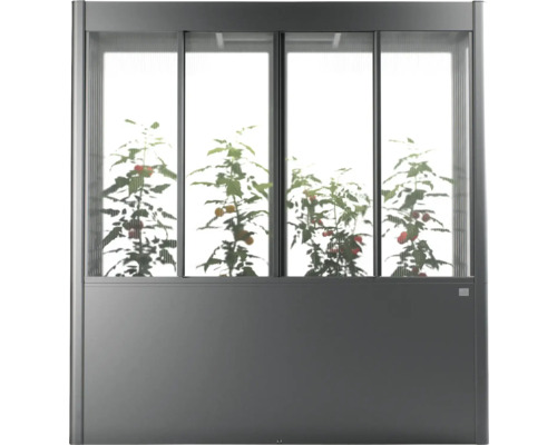 Skleník s rastlinami