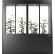 Skleník s rastlinami