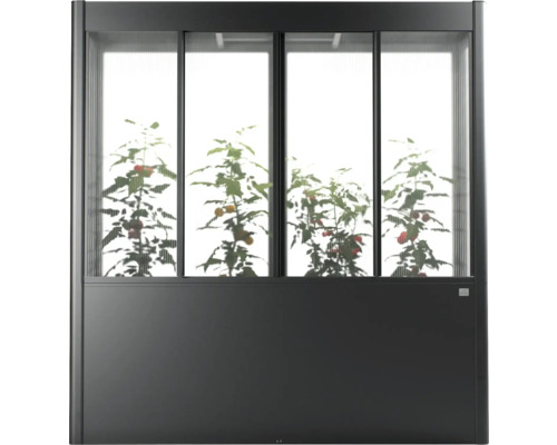 Skleník s rastlinami