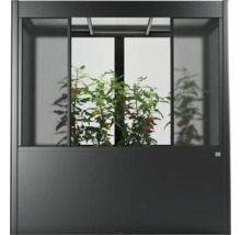 Vyvýšený záhon so skleníkovým nadstavcom a rastlinami paradajok