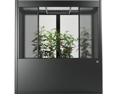 Vyvýšený záhon so skleníkovým nadstavcom a rastlinami paradajok