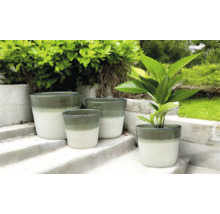 Kvetináče rôznych veľkostí na schodoch vo vonkajšom prostredí.