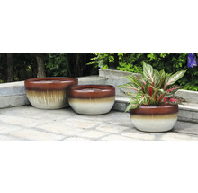 Tri keramické kvetináče na kamennej terase, jeden z nich s izbovou rastlinou.