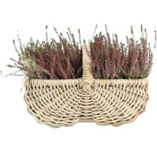 Vres obyčajný v prútenom košíku