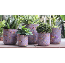 Kvetináče s kvetinovým vzorom a rôznymi rastlinami