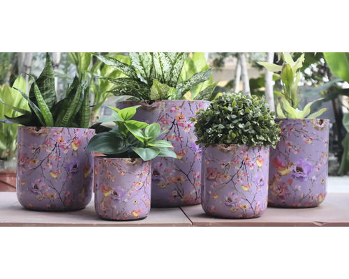 Kvetináče s kvetinovým vzorom a rôznymi rastlinami