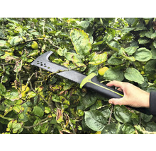 Osoba drží pílku na konáre v strome.