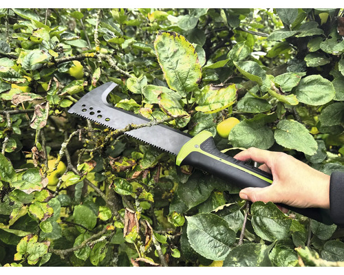 Osoba drží pílku na konáre v strome.