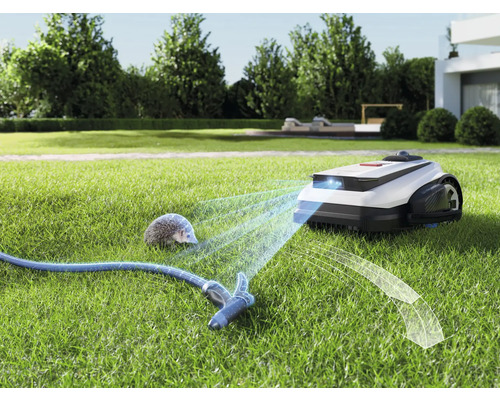 Robotická kosačka na trávniku so záhradnou hadicou a ježkom