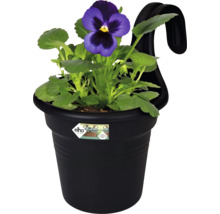 Kvetináč s fialkou a závesným zariadením