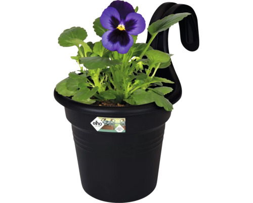 Kvetináč s fialkou a závesným zariadením