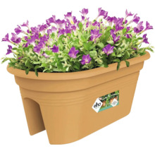 Kvetináč s fialovými kvetmi