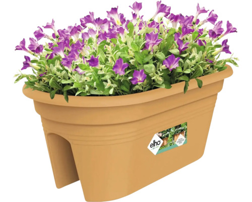 Kvetináč s fialovými kvetmi