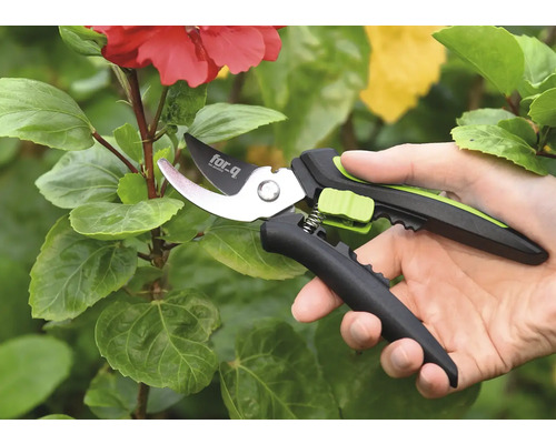 Záhradné nožnice používané na rastline