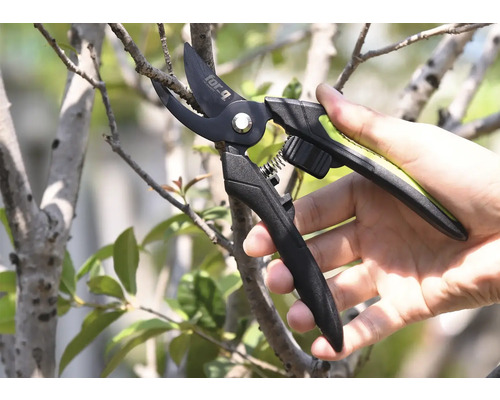Záhradné nožnice strihajú konár