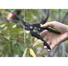 Záhradné nožnice strihajú konár