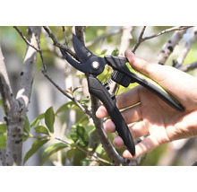 Záhradné nožnice strihajú konár