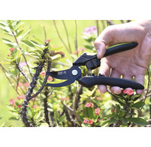 Záhradné nožnice strihajú tŕnitú vetvu