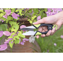 Záhradné nožnice strihajú rastlinu