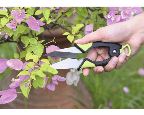 Záhradné nožnice strihajú rastlinu