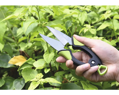 Ruka so záhradníckymi nožnicami pred zelenými rastlinami