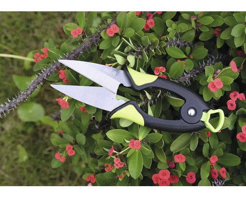 Nožnice na kvety na prerezávanie rastlín