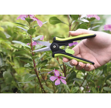 Osoba strihá stonku z rastliny z rodu zimozeleň záhradníckymi nožnicami