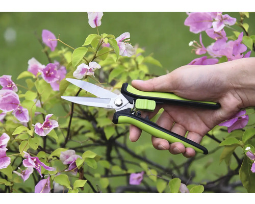 Záhradné nožnice v ruke pred kvitnúcou rastlinou