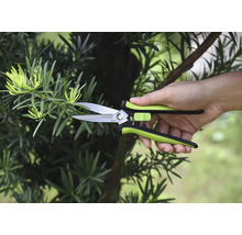 Záhradné nožnice strihajú konár