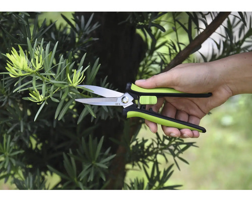 Záhradné nožnice strihajú konár