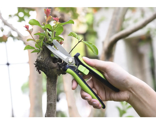 Záhradné nožnice strihajú konár