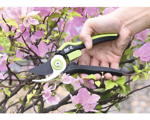 Osoba používa záhradné nožnice for_q na strihanie kvitnúceho konára.