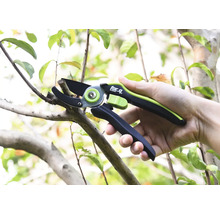 Záhradné nožnice strihajú konár