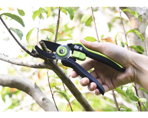 Záhradné nožnice strihajú konár