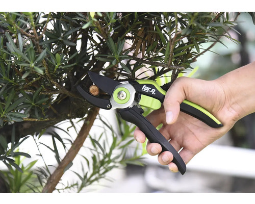 Osoba strihá konár záhradníckymi nožnicami značky For Q.