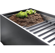 Vyvýšený záhon so zeminou a šalátom