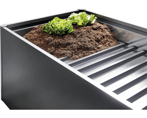 Vyvýšený záhon so zeminou a šalátom