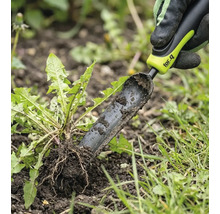 Odstraňovač buriny sa používa na odstraňovanie púpav