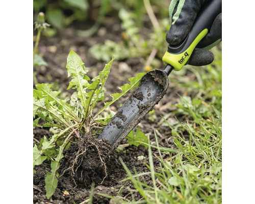 Odstraňovač buriny sa používa na odstraňovanie púpav