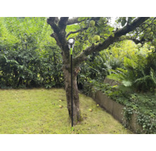 Zberač jabĺk v prevádzke pod jabloňou v záhrade