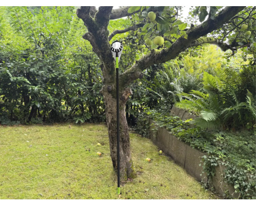 Zberač jabĺk v prevádzke pod jabloňou v záhrade