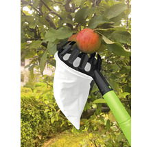 Zberač jabĺk pri práci na strome